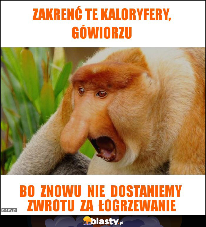 zakrenć te kaloryfery, gówiorzu zakrenć te kaloryfery, gówiorzu