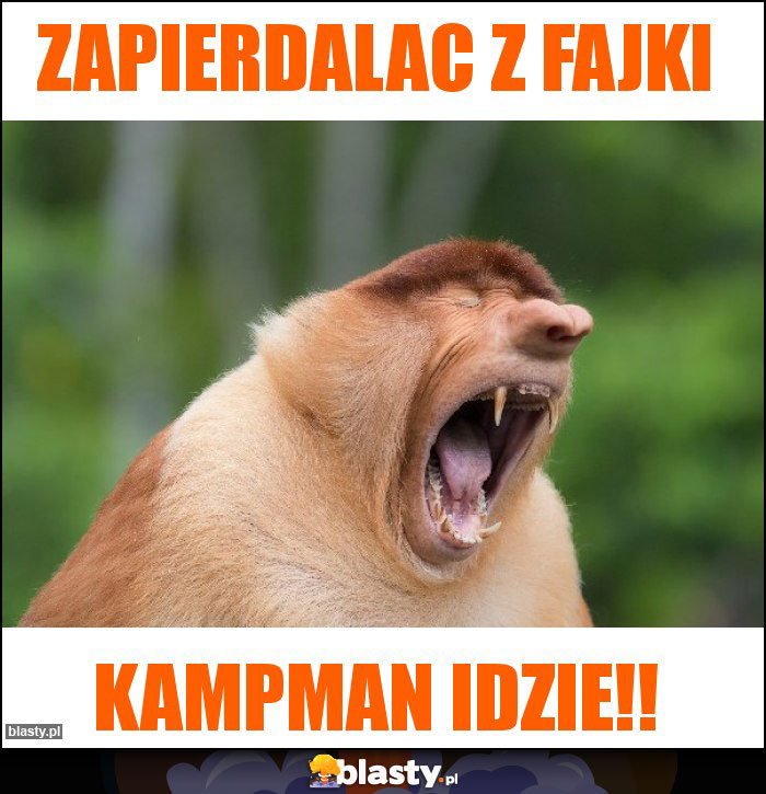 Zapierdalac z fajki