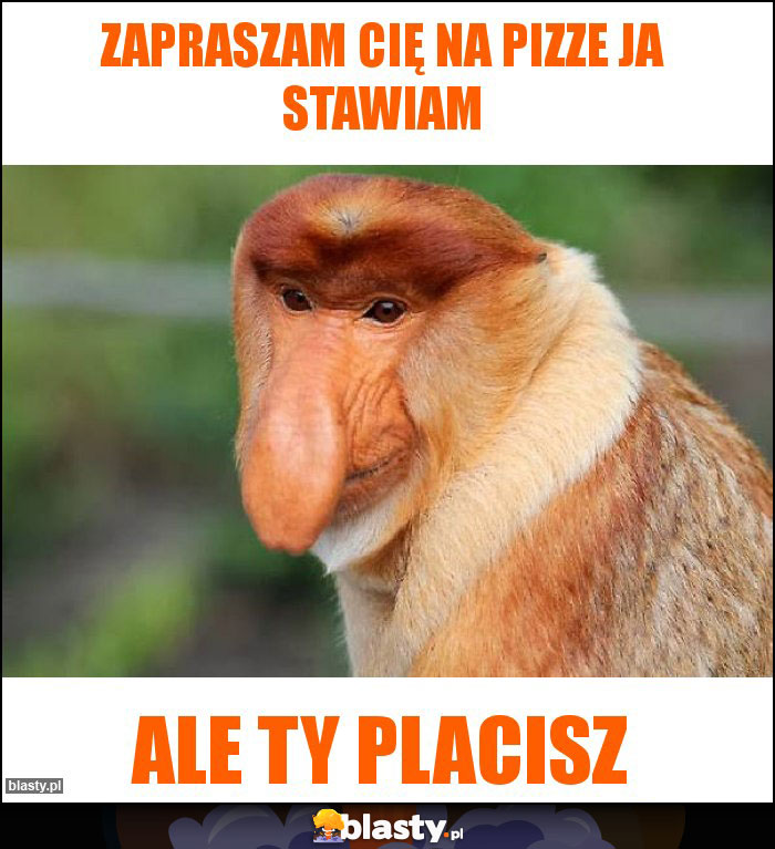 Zapraszam cię na pizze ja stawiam Zapraszam cię na pizze ja stawiam