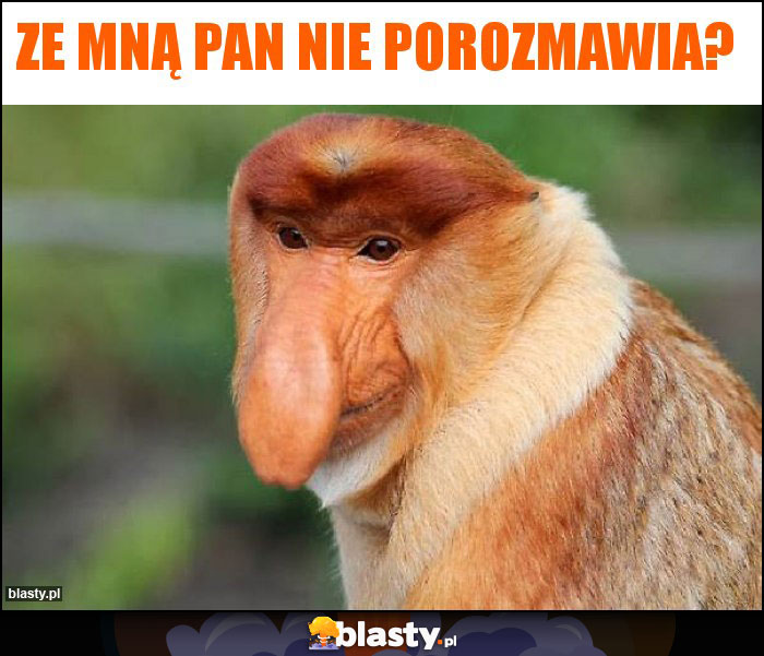 Ze mną Pan nie porozmawia?