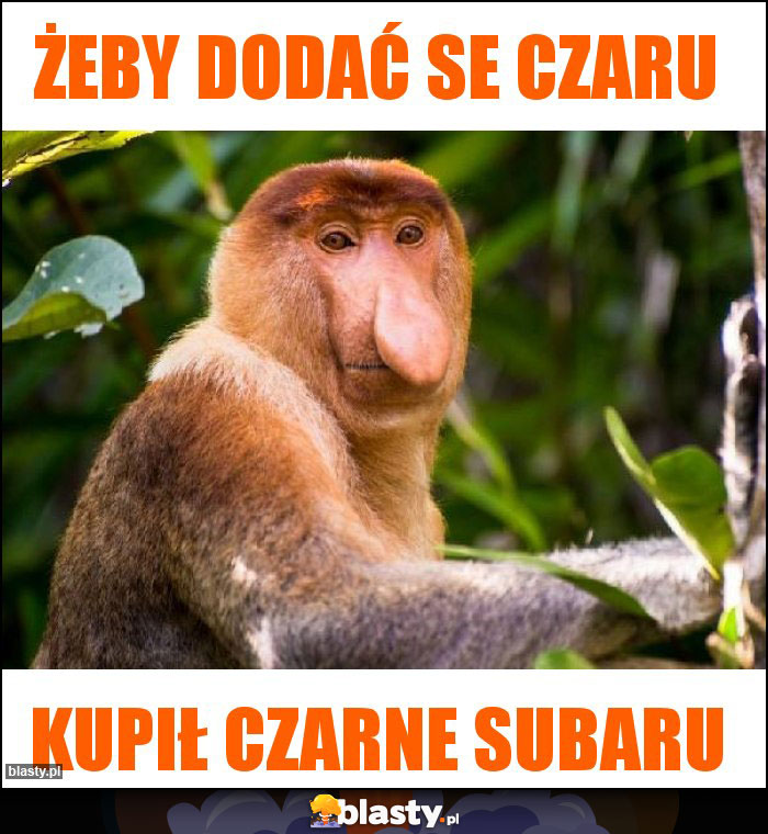 Żeby dodać se czaru Żeby dodać se czaru