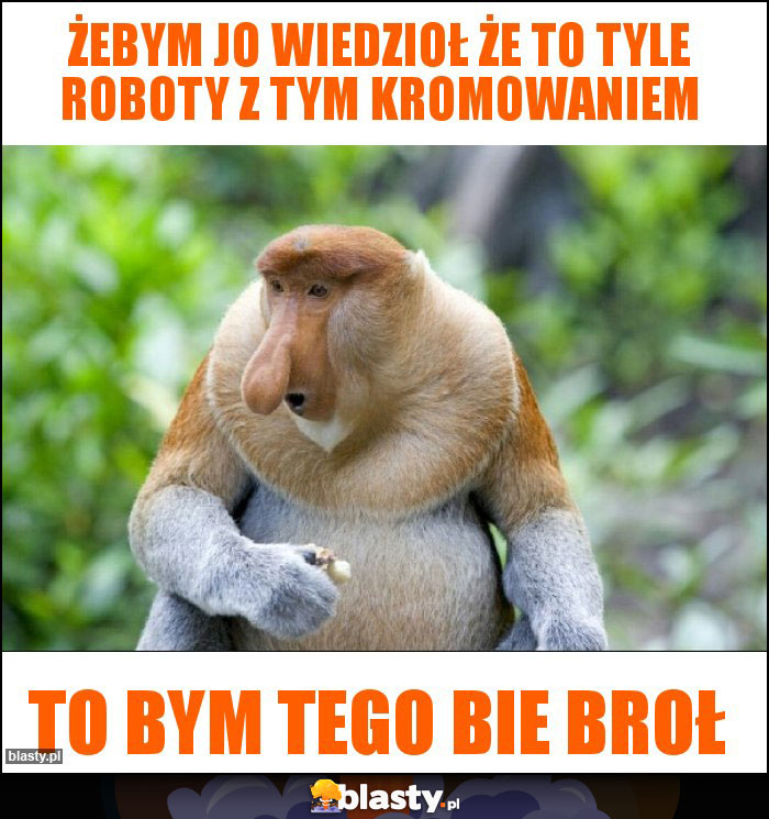 Żebym jo wiedzioł że to tyle roboty z tym kromowaniem Żebym jo wiedzioł że to tyle roboty z tym kromowaniem