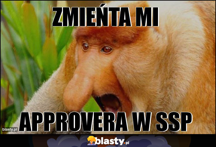 zmieńta mi zmieńta mi