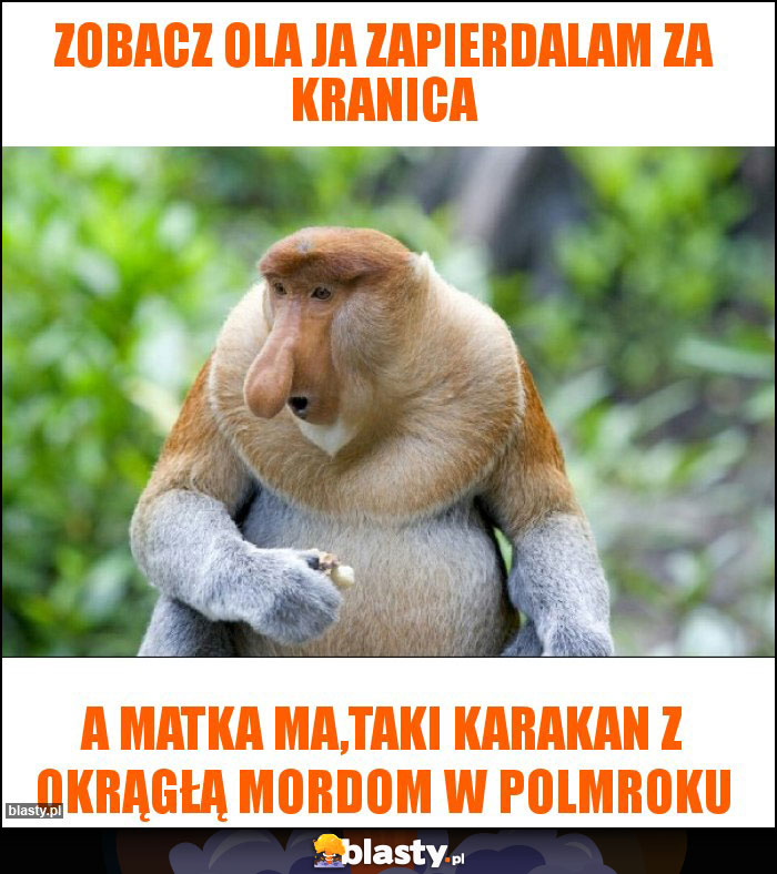 Zobacz Ola ja zapierdalam za kranica Zobacz Ola ja zapierdalam za kranica