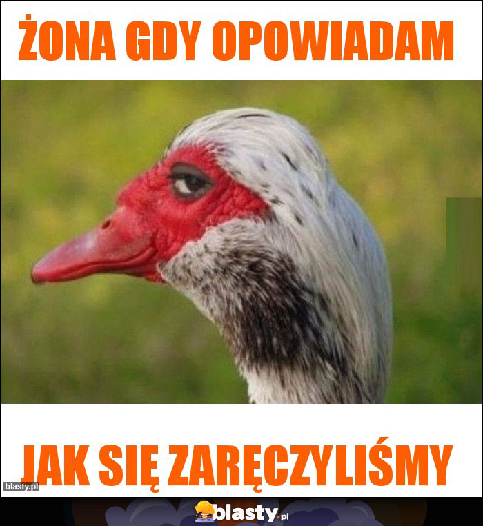 Żona gdy opowiadam Żona gdy opowiadam