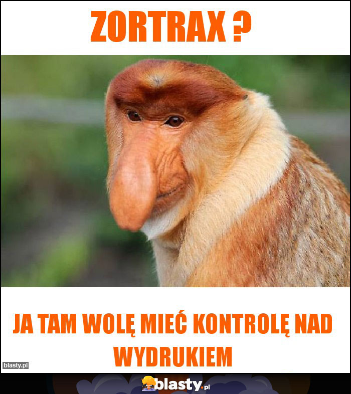 Zortrax ?