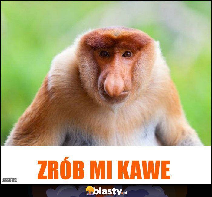Zrób mi kawe