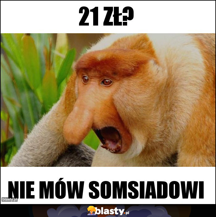 21 zł?