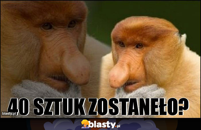 40 sztuk zostaneło? 40 sztuk zostaneło?