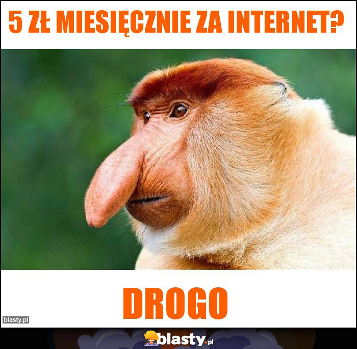 5 zł miesięcznie za internet? 5 zł miesięcznie za internet?