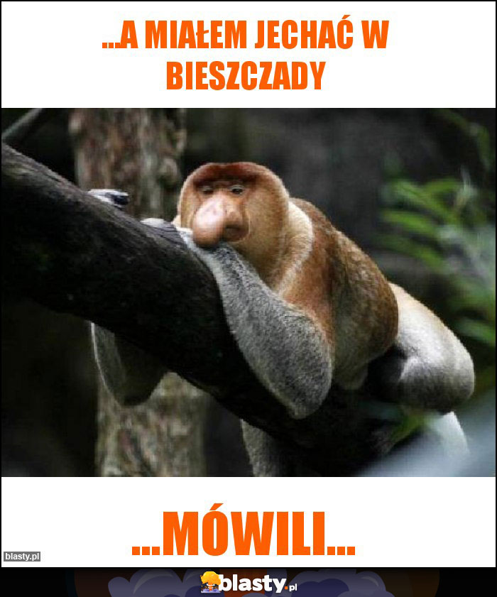 ...a miałem jechać w Bieszczady ...a miałem jechać w Bieszczady