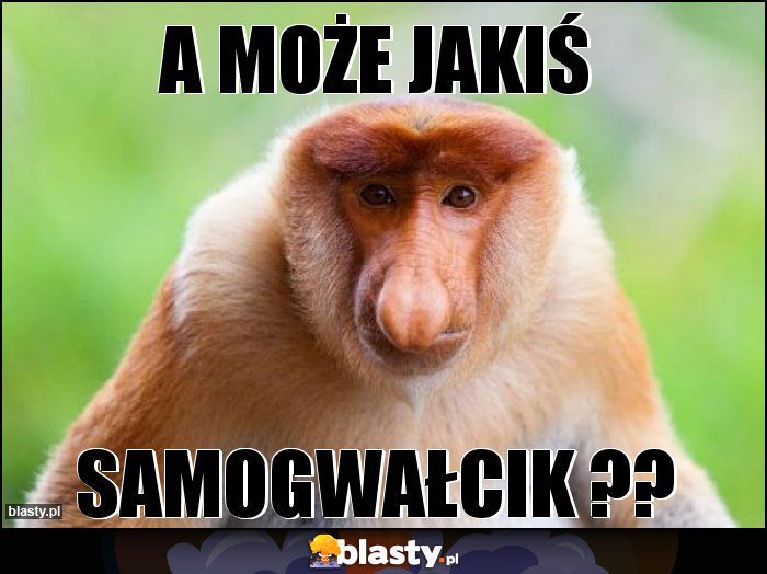 A MOŻE JAKIŚ A MOŻE JAKIŚ