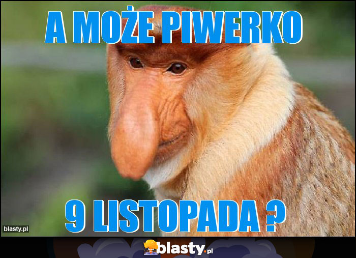 A może piwerko A może piwerko