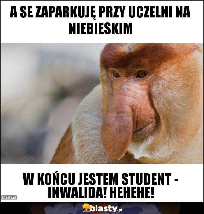 A se zaparkuję przy uczelni na niebieskim A se zaparkuję przy uczelni na niebieskim