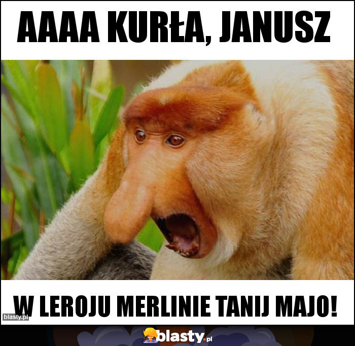 Aaaa kurła, Janusz
