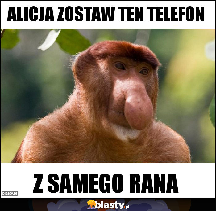 Alicja zostaw ten telefon Alicja zostaw ten telefon