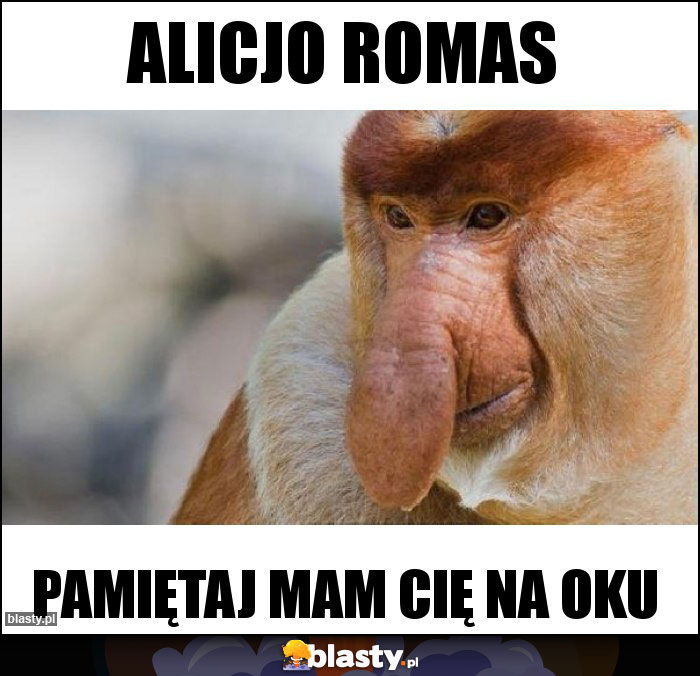 Alicjo Romas Alicjo Romas