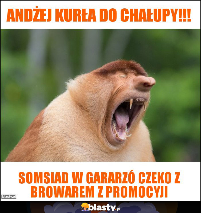 Andżej kurła do chałupy!!! Andżej kurła do chałupy!!!