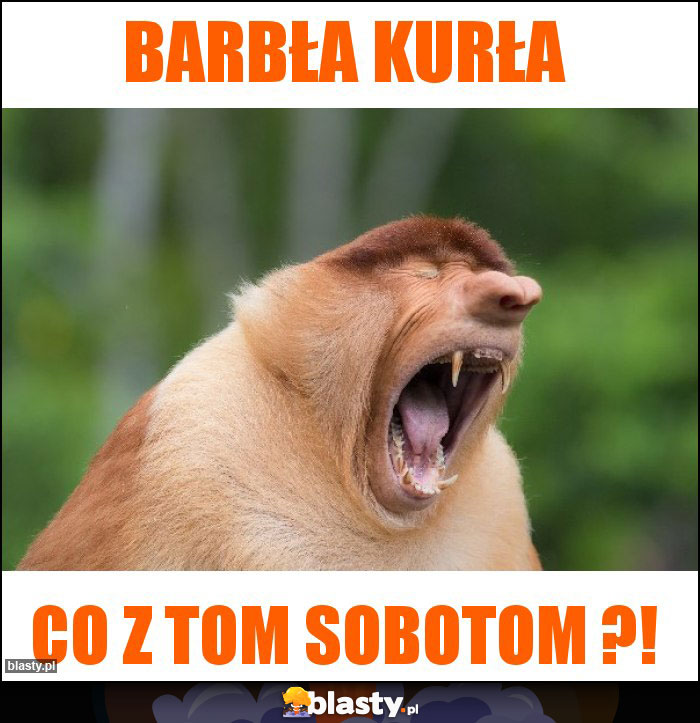 BARBŁa KURŁA BARBŁa KURŁA