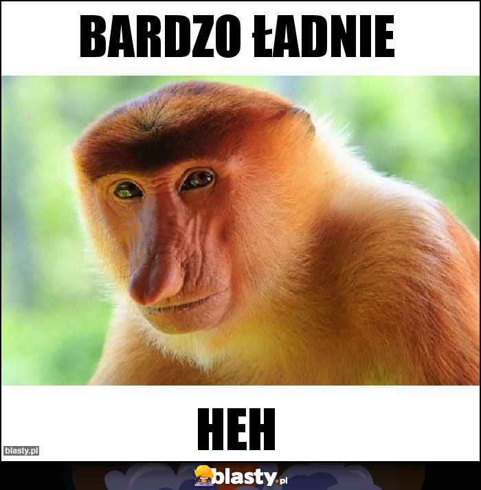 BARDZO ŁADNIe BARDZO ŁADNIe