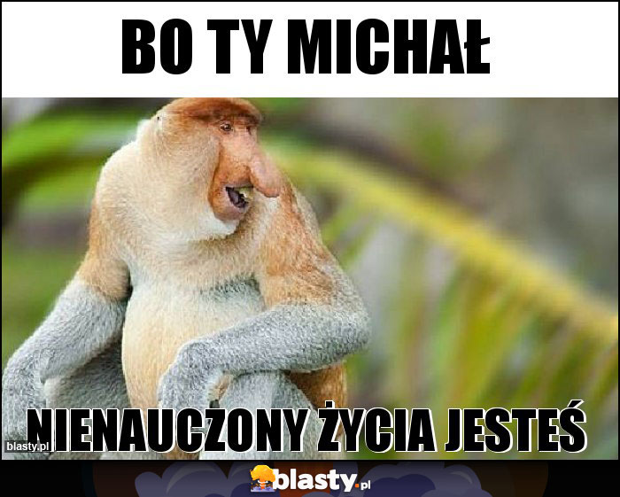bo ty michał bo ty michał