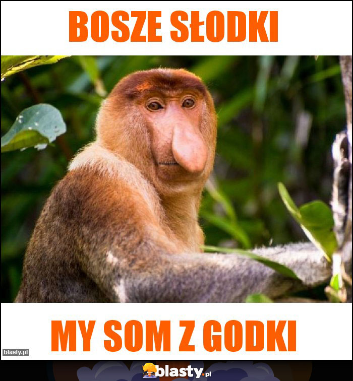 Bosze słodki Bosze słodki