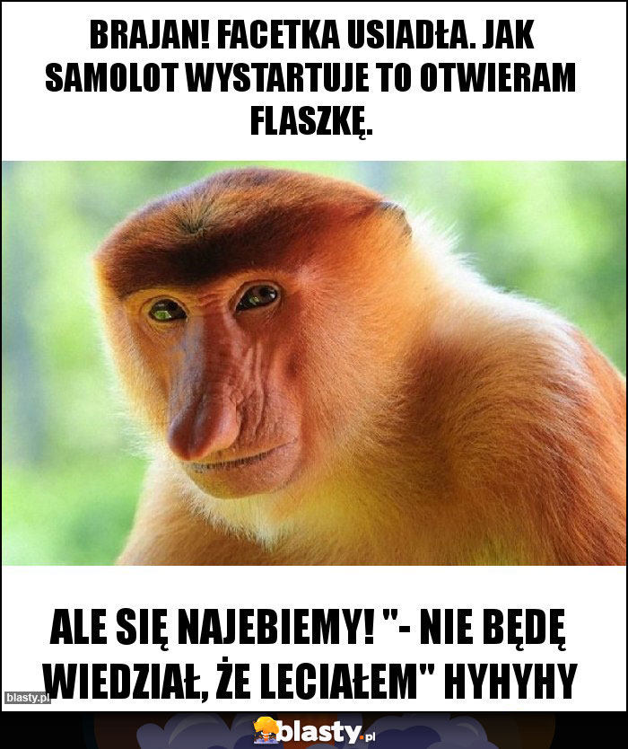 brajan! facetka usiadła. jak samolot wystartuje to otwieram flaszkę. brajan! facetka usiadła. jak samolot wystartuje to otwieram flaszkę.
