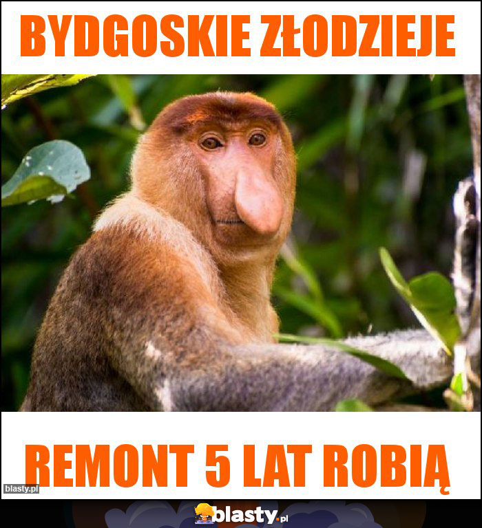 Bydgoskie złodzieje Bydgoskie złodzieje