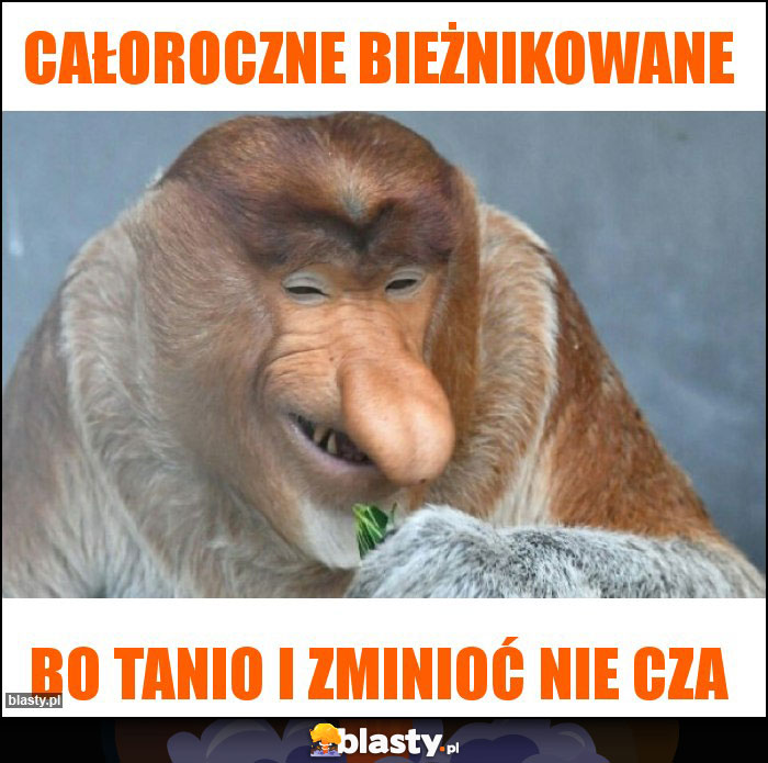 Całoroczne bieżnikowane Całoroczne bieżnikowane