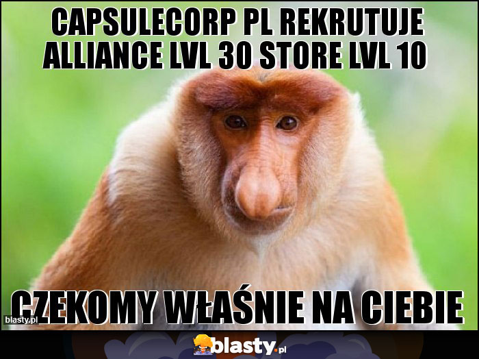 CapsuleCorp pl rekrutuje Alliance lvl 30 store lvl 10 CapsuleCorp pl rekrutuje Alliance lvl 30 store lvl 10