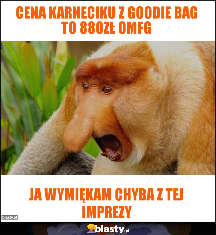 cena karneciku z goodie bag to 880zł OMFG cena karneciku z goodie bag to 880zł OMFG