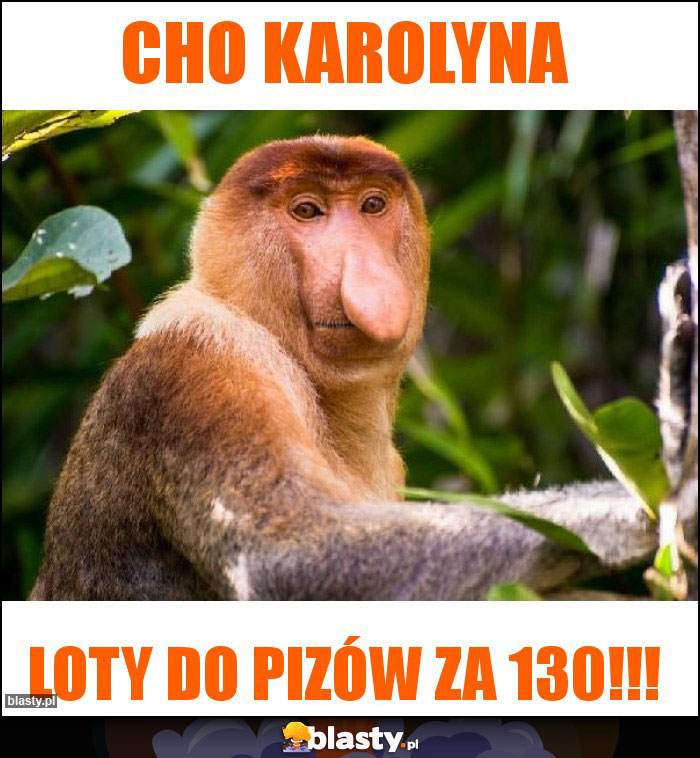 Cho Karolyna Cho Karolyna