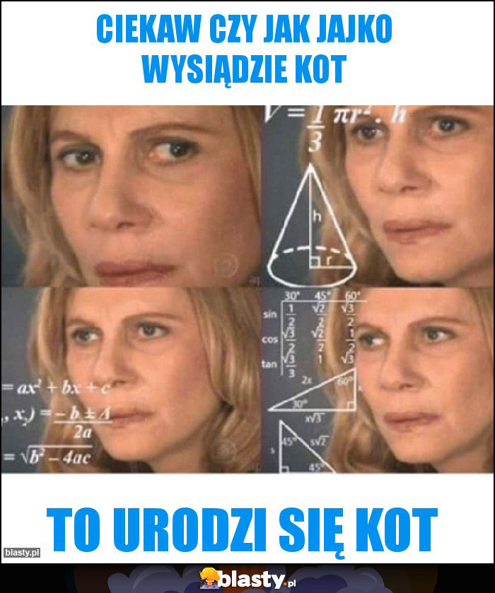 Ciekaw czy jak jajko wysiądzie kot Ciekaw czy jak jajko wysiądzie kot