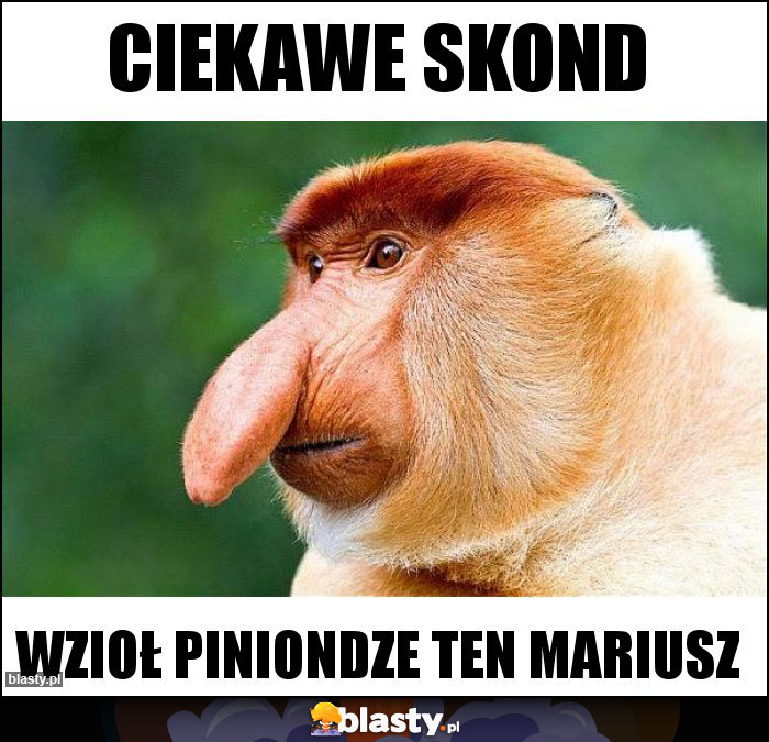 Ciekawe skond Ciekawe skond