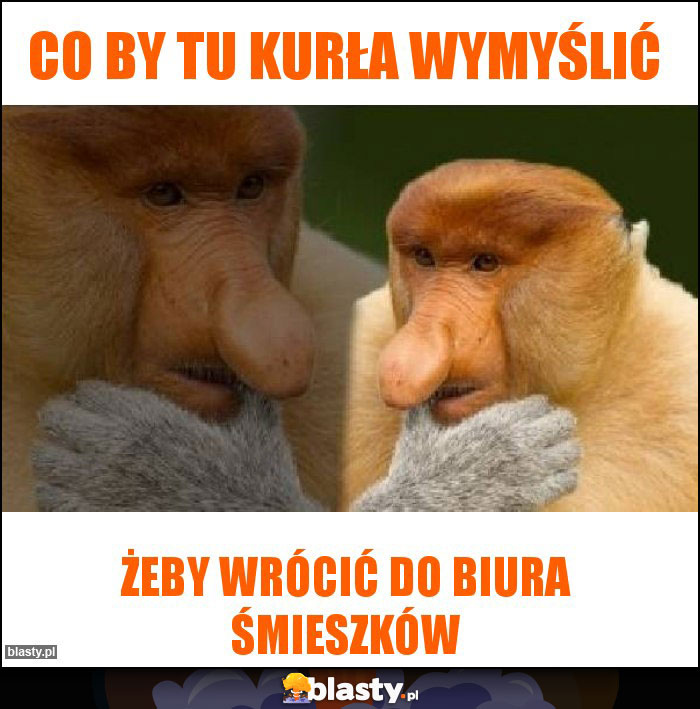 Co by tu kurła wymyślić Co by tu kurła wymyślić