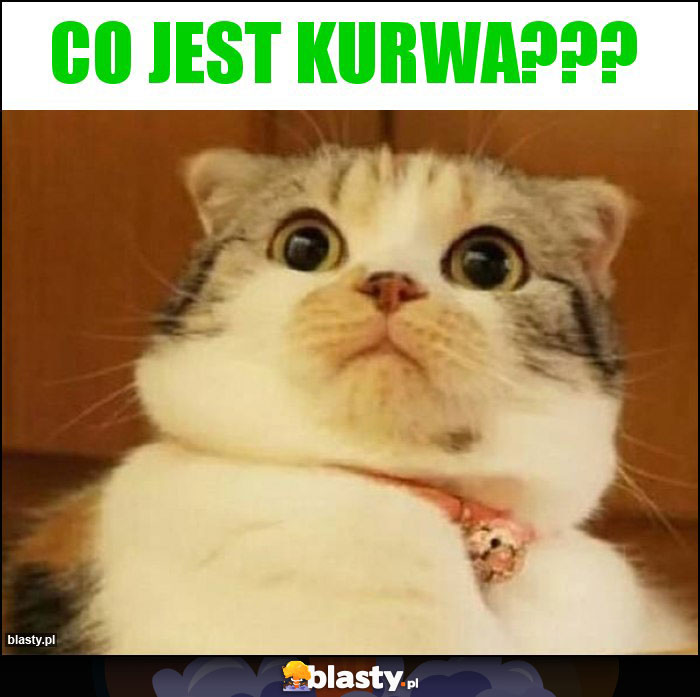 Co jest kurwa???