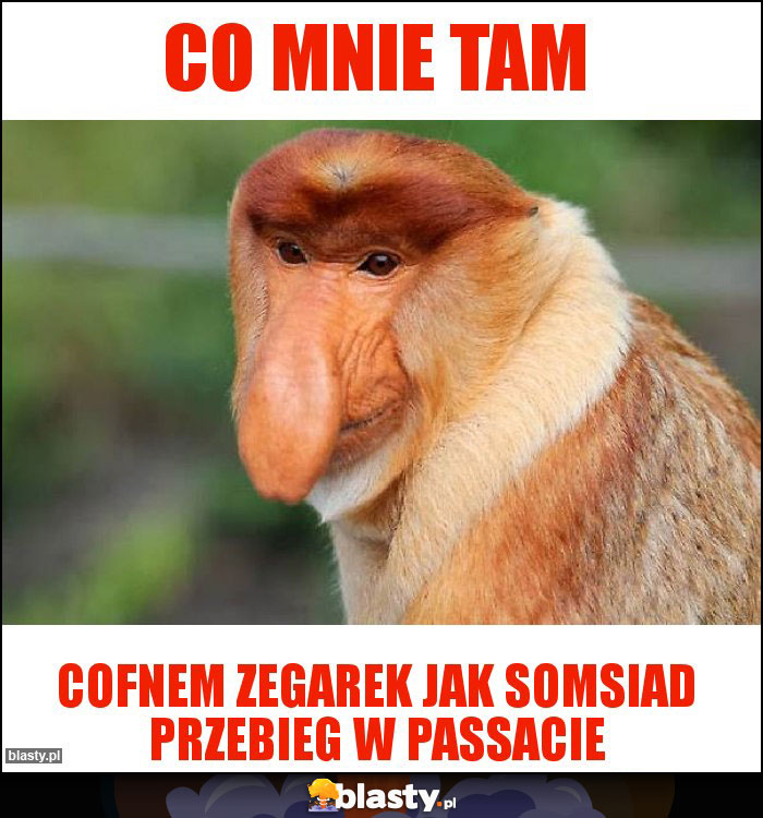 Co mnie tam Co mnie tam