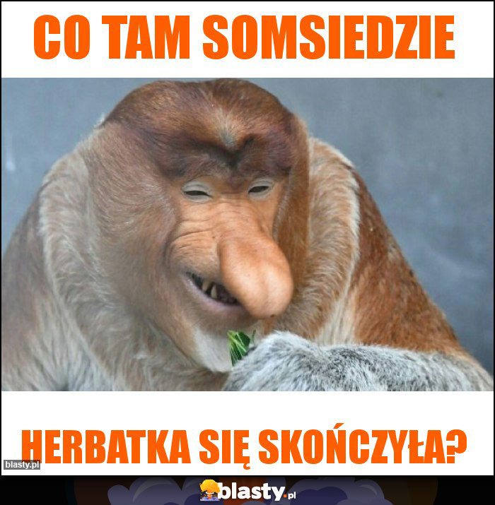 Co tam somsiedzie Co tam somsiedzie