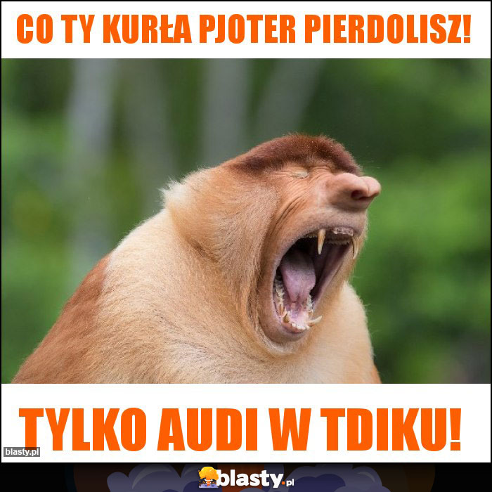 Co ty kurła Pjoter pierdolisz! Co ty kurła Pjoter pierdolisz!