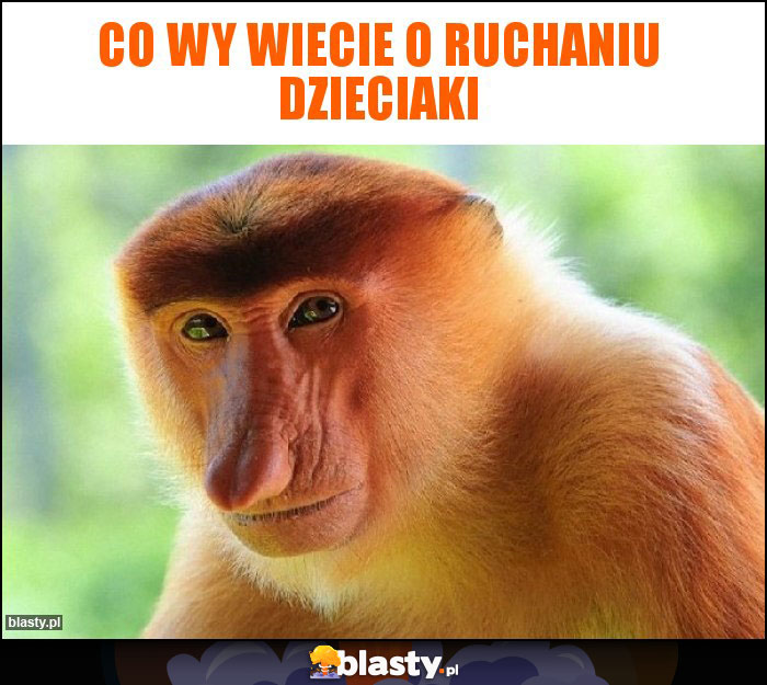 Co wy wiecie o ruchaniu dzieciaki Co wy wiecie o ruchaniu dzieciaki