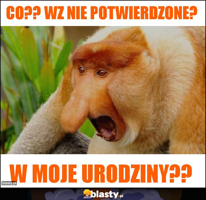 Co?? WZ nie potwierdzone? Co?? WZ nie potwierdzone?