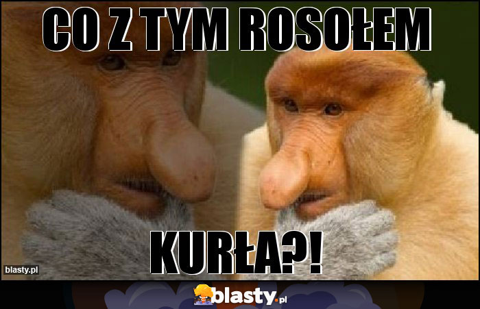 Co z tym rosołem Co z tym rosołem