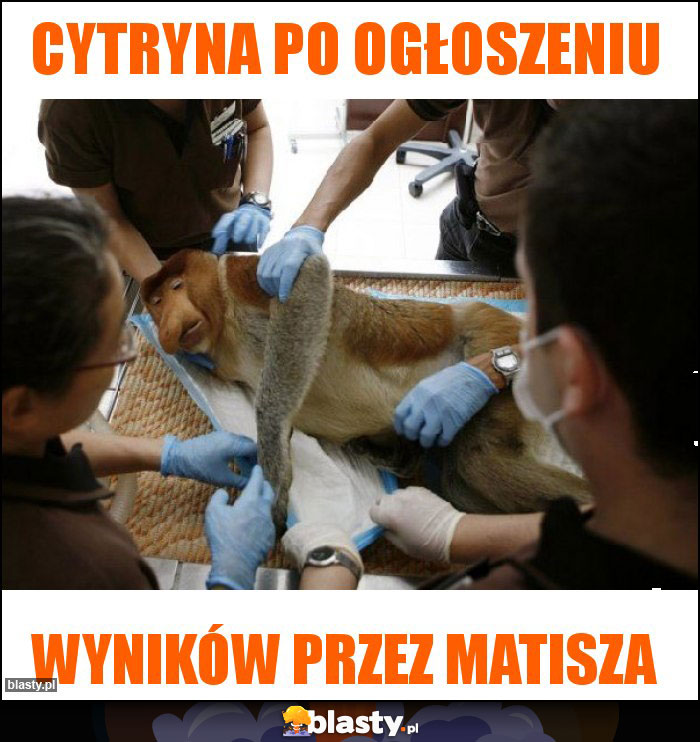 Cytryna po ogłoszeniu Cytryna po ogłoszeniu