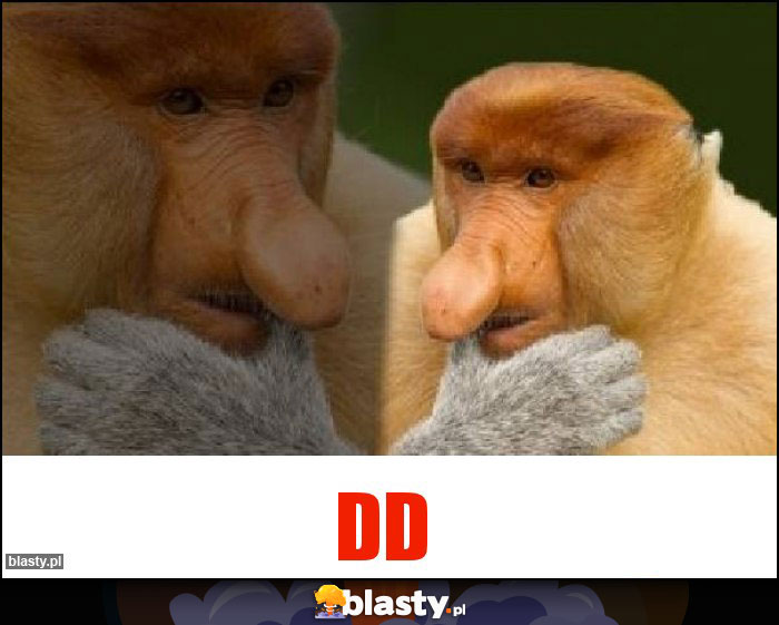 dd