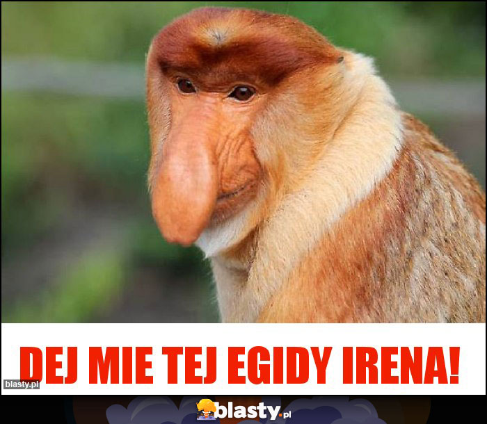Dej mie tej Egidy Irena! Dej mie tej Egidy Irena!