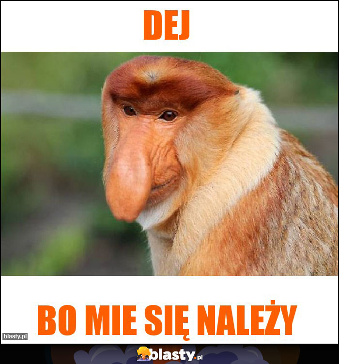 DEJ memy, gify i śmieszne obrazki facebook, tapety, demotywatory zdjęcia