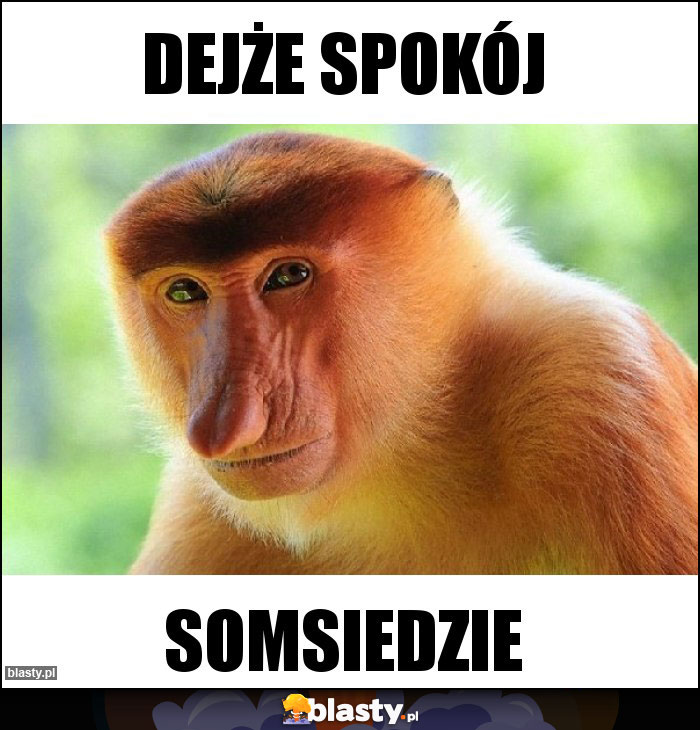 Dejże spokój Dejże spokój