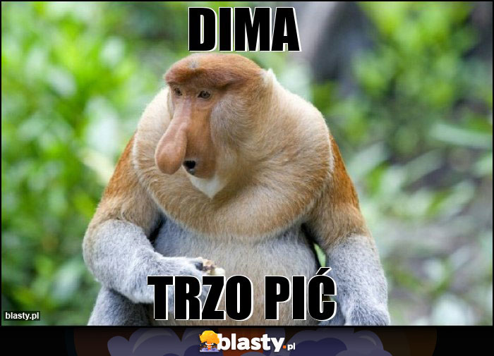 dima