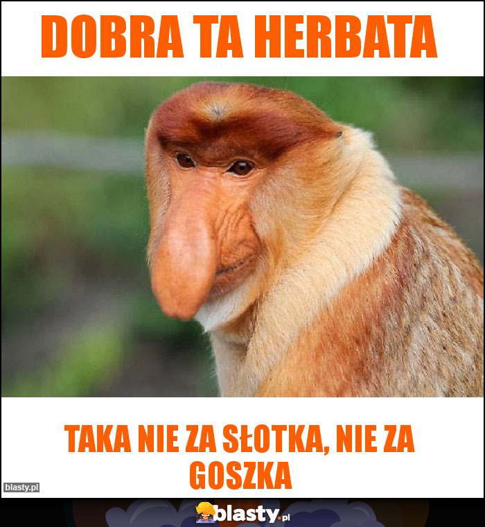 Dobra ta herbata