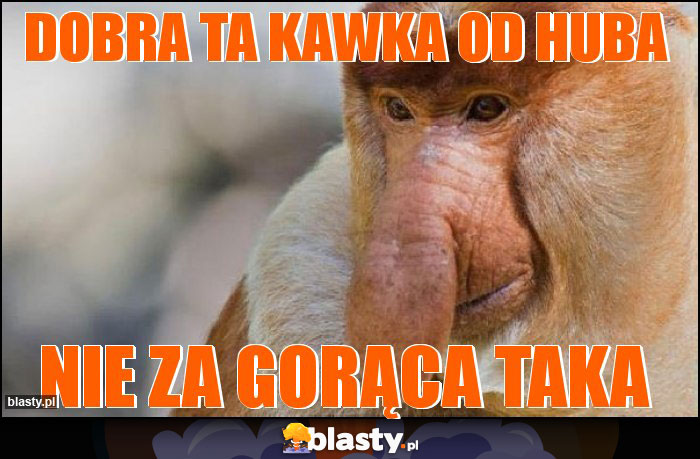 dobra ta kawka od Huba dobra ta kawka od Huba